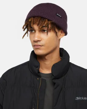 Woodworth Beanie in Plum